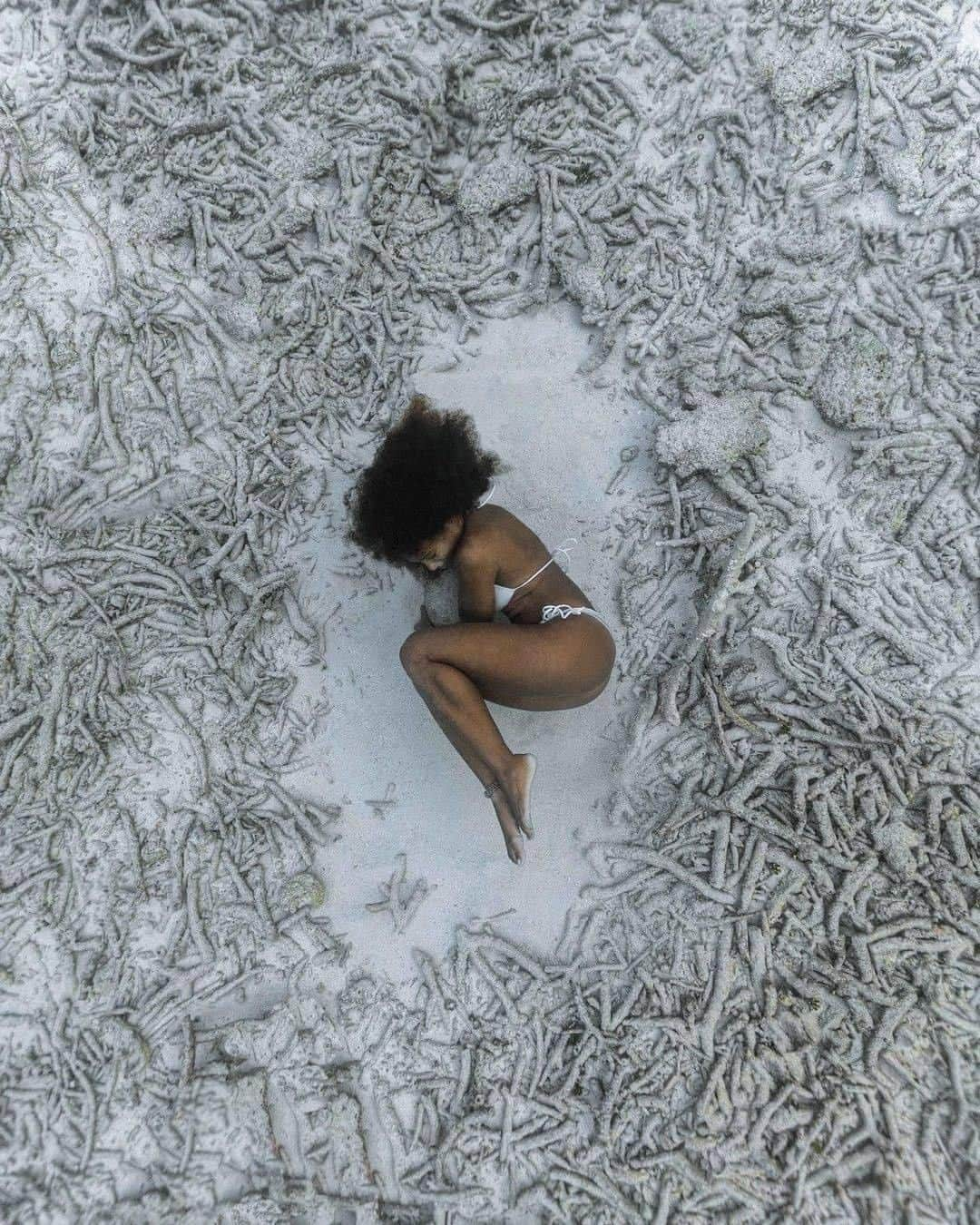 Discoveryさんのインスタグラム写真 - (DiscoveryInstagram)「Coral Reef turns white when stressed by changes in their environment, such as pollution, warming temperatures, and other environmental interference. When damaged, they expel algae turning them into ghostly white skeletons known as ‘coral bleaching’ from which they may never recover. #blackinmarinescience  Photo: André Musgrove (@andremusgrove) Underwater Model: Alannah Vellacott (@alannahvellacott)  #BlackInMarineScienceWeek #marinescience #bahamas #underwaterphotography  #science #STEM #ocean #conservation」12月5日 5時25分 - discovery