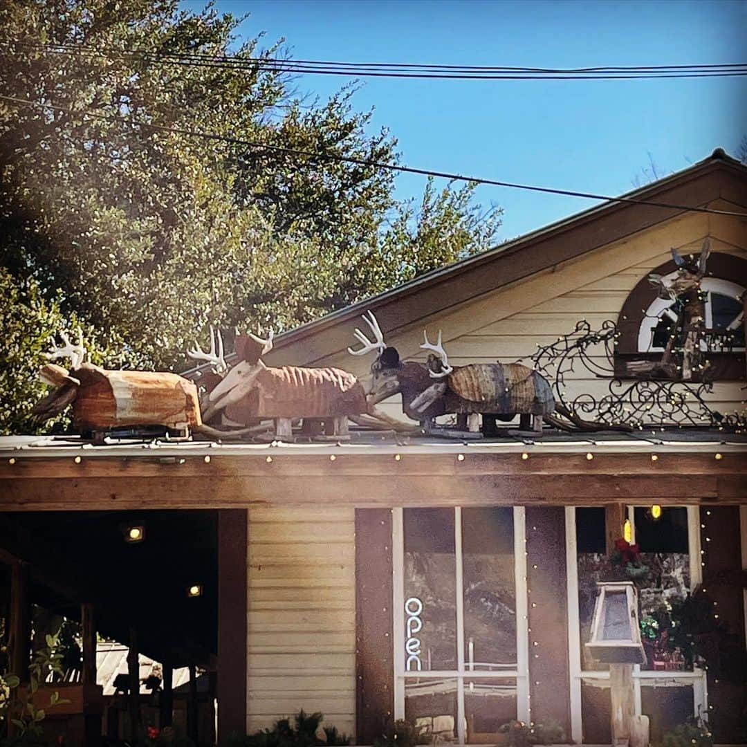 sevimli_hayvanlar34さんのインスタグラム写真 - (sevimli_hayvanlar34Instagram)「So cool #armadillo #reindeer #wimberlytx」12月5日 5時49分 - rodeubanks