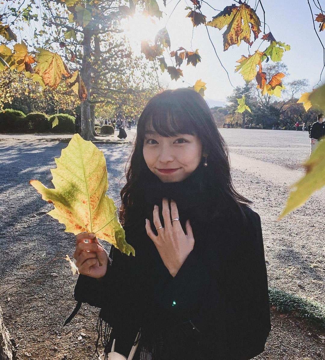 亀川萌絵子のインスタグラム：「皆さん今日もおつかめです🐢💨﻿ ﻿ つ、ついに！﻿ 明日がCampus Girls' Festivalです🎉﻿ ﻿ 今まで皆さんに会える機会がなかったので、、とっても楽しみです！ドキドキ！﻿ 来てくださる方はよろしくお願いします❤ ️﻿一緒に楽しみましょう！！﻿﻿他大のミスの方に会えるのも楽しみ！  ミスコン本番の時みたいな高いヒールは履かないので、身長にびっくりしないでくださいね😣笑﻿ ﻿ そして12/13（日）の撮影会まだ募集しているのでぜひ、プロフィールから詳細＆予約チェックお願いします🥰﻿ ﻿ 写真は私の顔より大きい葉っぱを見つけた時の！🌿﻿ ﻿ #Girls Campus Festival」