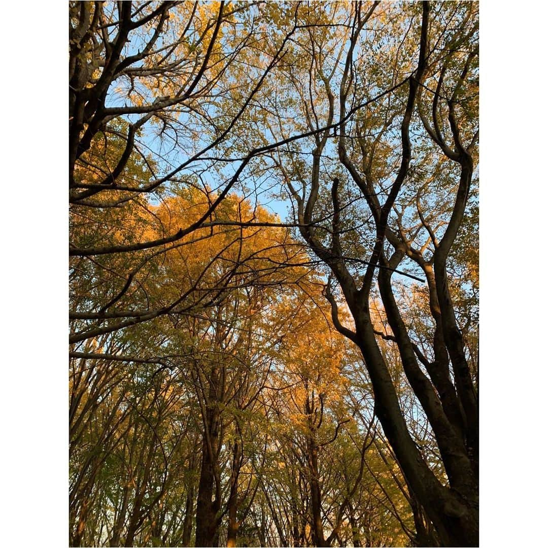 NiziUさんのインスタグラム写真 - (NiziUInstagram)「メンバーとお散歩~~🍂🍃 おしゃべりをしながらとても気分転換できました😌✨ ----------------------------------------------------🌈 멤버와 같이 산책~~🍂🍃 수다 떨면서 기분전환 되었어요😌✨  #NiziU#WithU#🐣#🍋🍫#🌷#🐶」12月4日 21時03分 - niziu_artist_official