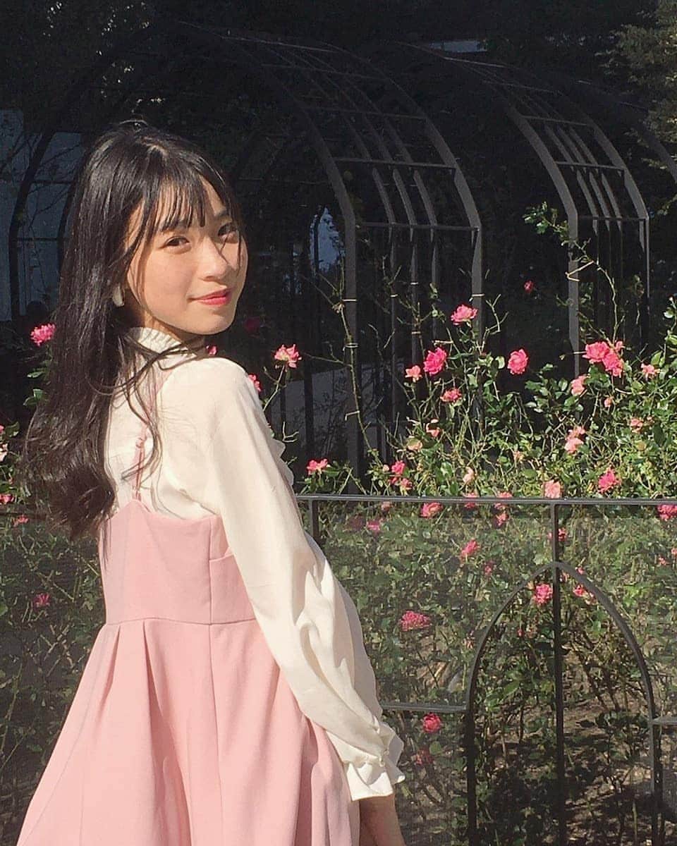 熊井戸花のグルメインスタ