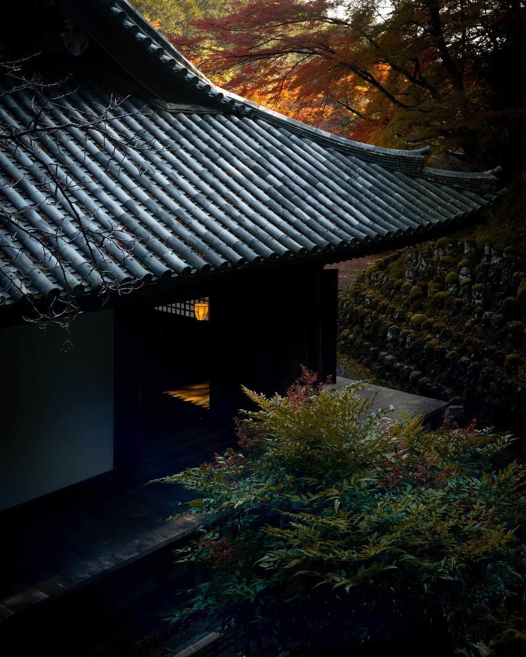 Koichiさんのインスタグラム写真 - (KoichiInstagram)「| Light and Shadow  #BeautifulJapan #Hellofrom #Kyoto  #京都 #奥嵯峨野 #愛宕念仏寺  京都は奥嵯峨野の愛宕念仏寺。 嵐山からこの辺りまで来ると、人も少なく静かになります。 陰翳礼讃。ここは陰も美しい。  .」12月4日 21時24分 - koichi1717
