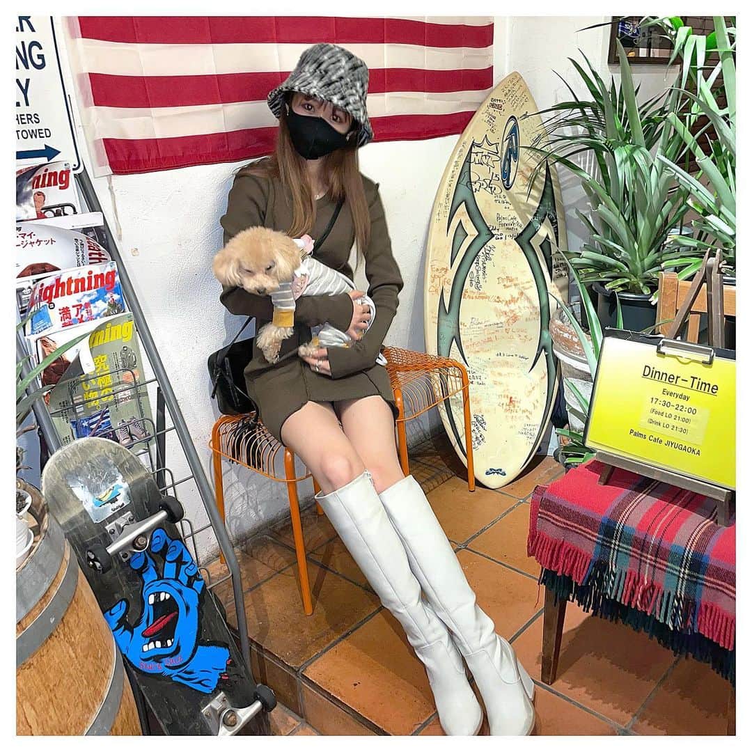 浦西ひかるさんのインスタグラム写真 - (浦西ひかるInstagram)「パムピノ🐶とご飯食べに行った時の𓂃𓈒𓏸 わんちゃん入れるカフェどんどん増えてきてて嬉しい〜巡る🐶 . #dogcafe #dog #cafe #ひかスタイル」12月4日 21時25分 - uranishihikaru
