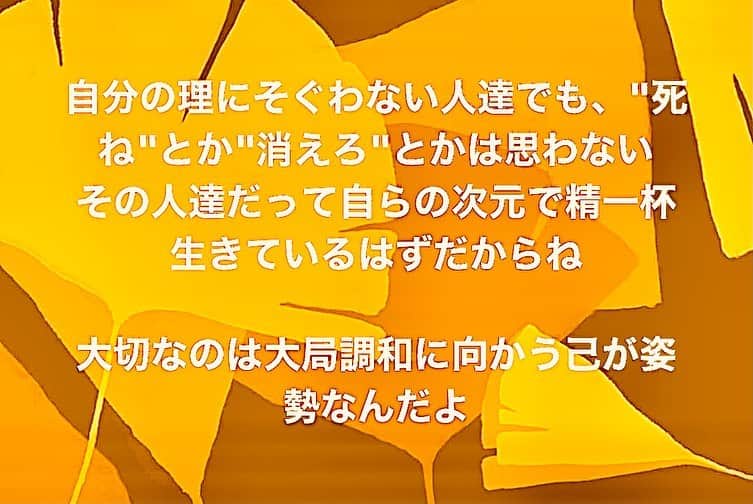 三原康可のインスタグラム