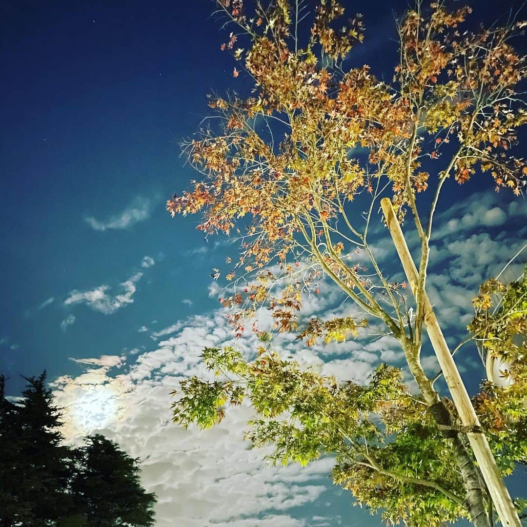 沢村玲/REIのインスタグラム：「ちょっと幻想的に撮れた夜空🌌  おすそわけだよーん。  冬の空ってなんか良いよねー。  #夜空  #映え村玲  #映え村玲流行らせるの会  #ワンエン  #ONOXmasLive」