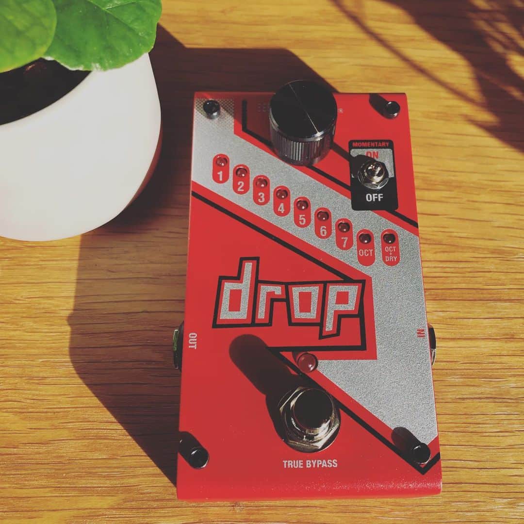 のインスタグラム：「デジテックのDropをもう一つ入れる事にしたのです!!(*´꒳`*) . 一つは半音下げるの! . もう一つは原音+オクターブ下! . . 次の12月13日のお給仕で早速やってみます！！(｀･ω･´)ﾉ . . DIGITECH Drop  I got the second one☺️  The intended use is different!! . One is a half step lower. . The other one is "original sound"+"octave down"🙂 . . I plan to use it for "different"☺️💕 . . #bandmaid #デジテック #effector  #エフェクター」