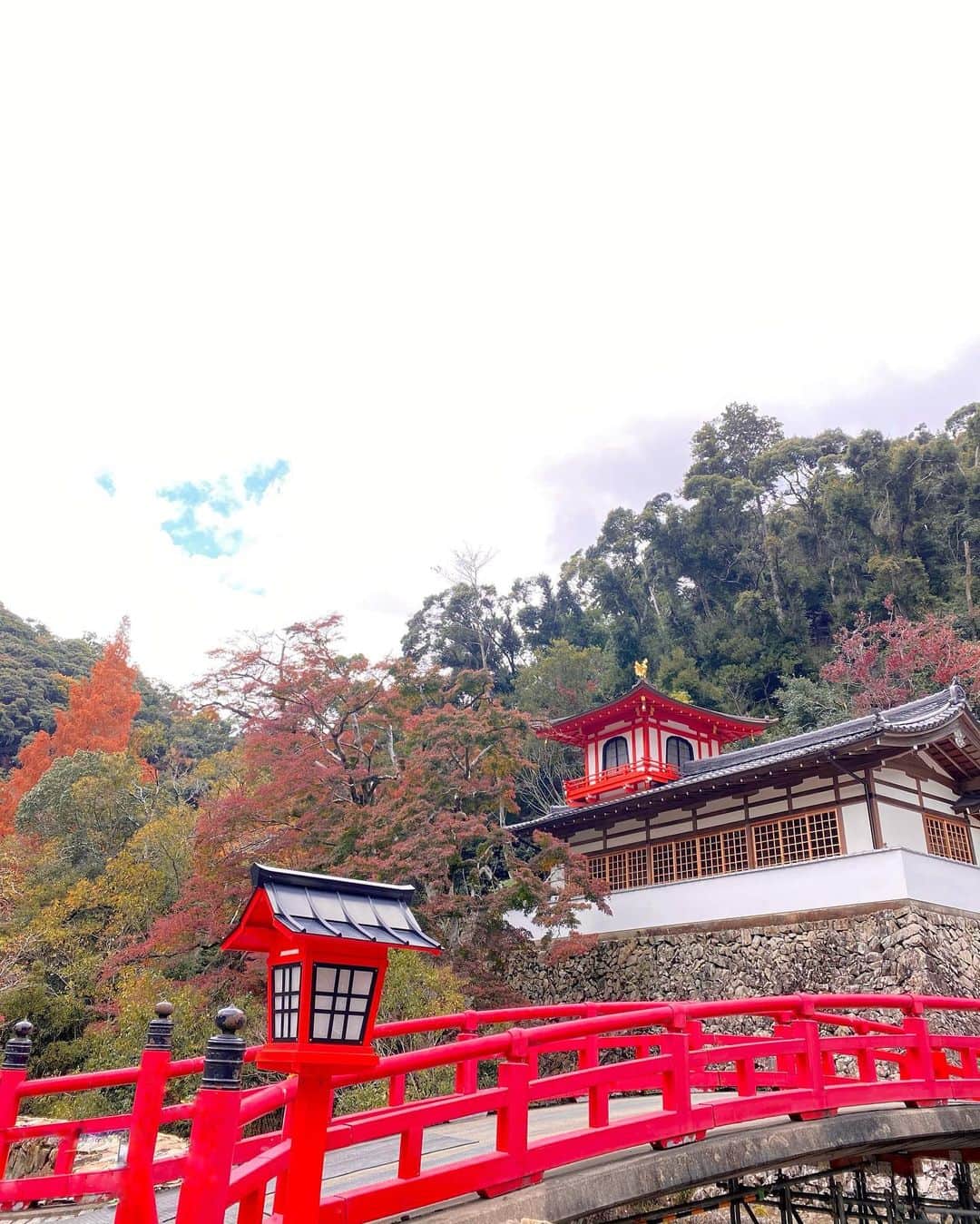 Erenaさんのインスタグラム写真 - (ErenaInstagram)「🍁🍂Autumn leaves🍂🍁 There is a wonderful view in Japan. 日本には素晴らしい景色がたくさんあるね😌 ⇒⇒⇒つづく . #autumnleaves#japan#fourseasons#determination#strong#power#future#happy#bright#light#color#紅葉#四季#日本」12月4日 22時47分 - o1.erena.1o_