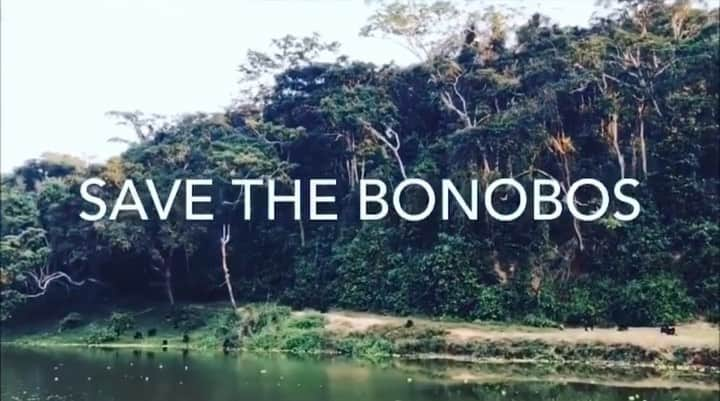 遊海 Yuumiのインスタグラム：「I have started a fundraising account to save the bonobo in Republic of Congo with @lolayabonobo [ https://www.classy.org/fundraiser/3060274 ] I have been there 2 years ago to work together with the rangers for protecting the precious animals. Bonobos are still in danger from poachers and around 10000~ bonobos are left in the wild and it decreasing. Please donate to save the bonobos 🌎 donation link is at my BIO ❤️ボノボの寄付金集めを始めました。今月いっぱい行っております。ボノボとは、チンパンジーによく似た外見の類人猿で、人間とDNAが一番近いと言われている。その行動も人間そっくりで手足がすらっと長く、清潔で食べ物や手を洗ったり、余った食べ物で魚をおびき寄せて遊んだりする愛らしい一面の反面、世界でもコンゴ民主共和国にしか生息しておらず、現在1万頭以下しかいない。 2年前に志村どうぶつ園でコンゴに行きランジャーさん達と一緒に保護活動をした思いから、募金を集める活動にボランティアをしたいと思い、今 @lolayabonobo と一緒に皆さんにボノボの大切さをシェアーしていきます。募金のリンクをプロフィールにつけてあります。宜しくお願いします。#savethebonobo #lolayabonobo #savetheapes #congo #bonobo #peace #loveanimals #protectthebonobo #africa #endangeredspecies #endangeredanimals #bonobos #ボノボ　#絶滅危惧種」