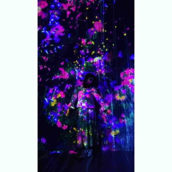 七瀬遥のインスタグラム：「今日も本当に素敵な一日になりましたっ😆💖 ちゃんと繋がってる✨✨サポートいっぱい来てる✨✨🛸✨✨ みんなで嬉しい楽しい愛に溢れた時間を共有できて本当に幸せ❣️感謝でいっぱいです😄✨✨ ありがとう💛 こらから楽しみ🌈❤️  #teamLabo#チームラボ#宇宙空間#楽しい#美しい#ART#宇宙#beautiful#fun#good#friend#happy#love#happiness#good#smile#tokyo#japan」