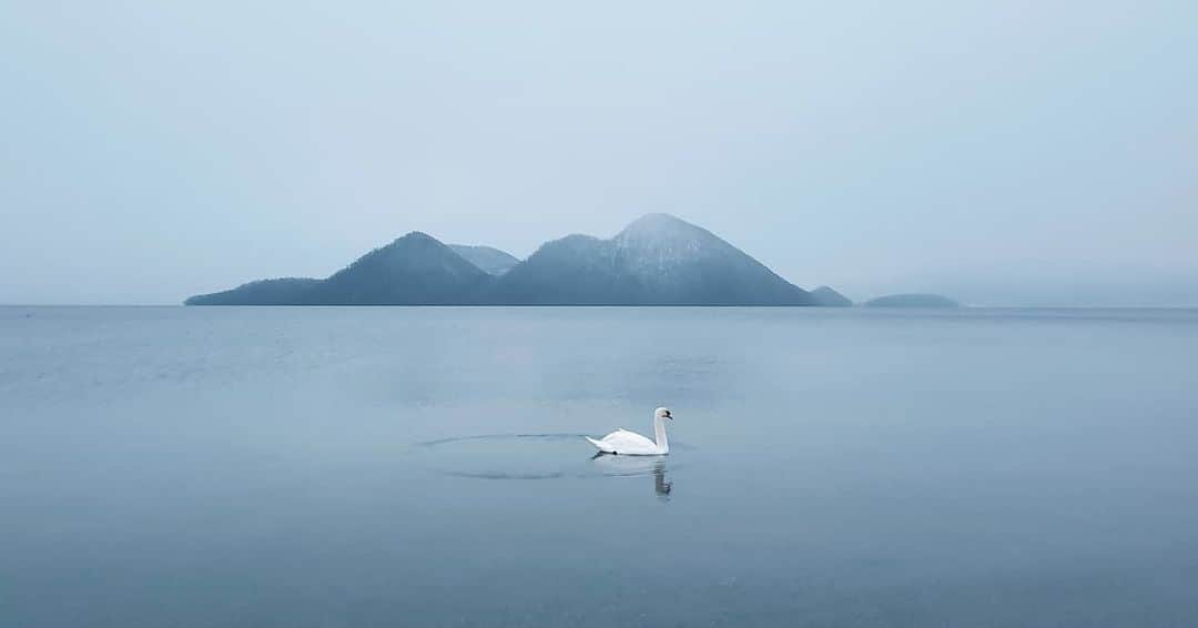 岩倉しおりさんのインスタグラム写真 - (岩倉しおりInstagram)「白鳥の湖」12月4日 23時50分 - iwakurashiori