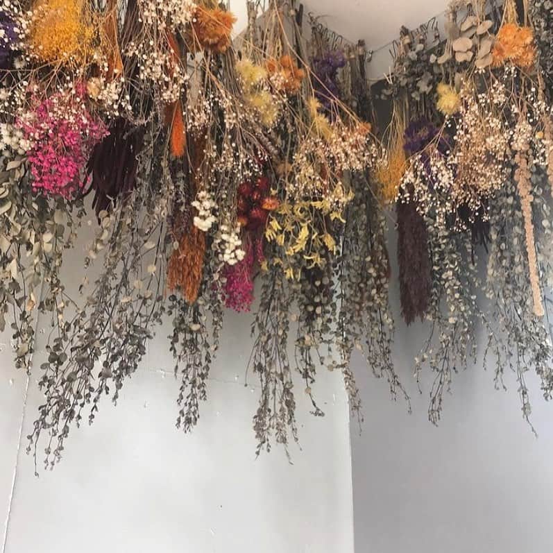 otoのインスタグラム：「🥀」