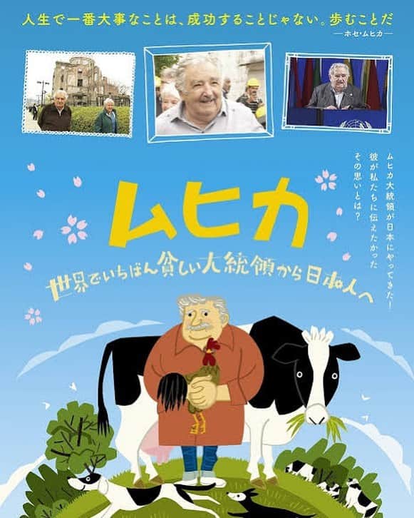 阿知波妃皇のインスタグラム：「世界でいちばん貧しい大統領と言われていた ウルグアイのムヒカ前大統領. 恥ずかしながら最近彼を知った.   大統領時代は給料の9割を寄付. 月10万円で生活. 仕事の合間には花を栽培したり畑仕事をしたり  小さな車で移動しヒッチハイクをしている人を快く歓迎した. 取材中に泣きながらコインをくれと叫んだ貧しい市民に「泣くんじゃない！いまはコインを持っていない」とお札を渡した.   こんな大統領を誰しもが見た事がないと.  彼は昔の日本の文化を心から尊敬し、愛してくれていた. 「足るを知る」(身分相応に満足することを知る。) 昔の日本人の考えはとても彼に影響していてわたしはもっと昔の日本人の考えを知りたいとおもった.  それはもう100年前とかの話.  彼の話す言葉は全てが明言で思わず「おぉぉぉ...」と声が出てしまう.  そして自分の醜さにも気づく 「みんな豊かさを勘違いしている」 その通りだなと思った.  「私たちは幸せになるためにこの地球にやってきた 家族や友人ペットと過ごす時間が何よりも大切で 周りからしたら小さなことでも自分にとっては 大きな大切な事なんだ. 幸せは命あるものからしかもらえない. 」  素晴らしい言葉に心がしみる... とにかく彼の映画が観たい!!  大好きな人達とムヒカ鑑賞会をするの🎥🍿☺️  教えてくれたお友達にも感謝です.  安藤サクラさんのナレーションも楽しみだなあ☁️  YouTubeでムヒカ大統領と検索してみてほしい. 素敵なことはみんなと共有したい.」