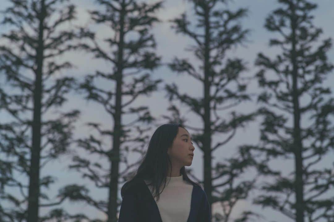 加藤才紀子さんのインスタグラム写真 - (加藤才紀子Instagram)「26歳、秋。「リリーのすべて」の絵みたいな木々。」12月5日 0時03分 - sakiko_katou