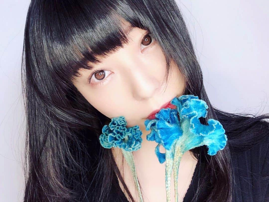 のインスタグラム：「GN🌙💠 . . . #blue #flowers #japan #tokyo #asianbeauty #longhair #risaaizawa #dempagumi #でんぱ組 #idol #selfie」