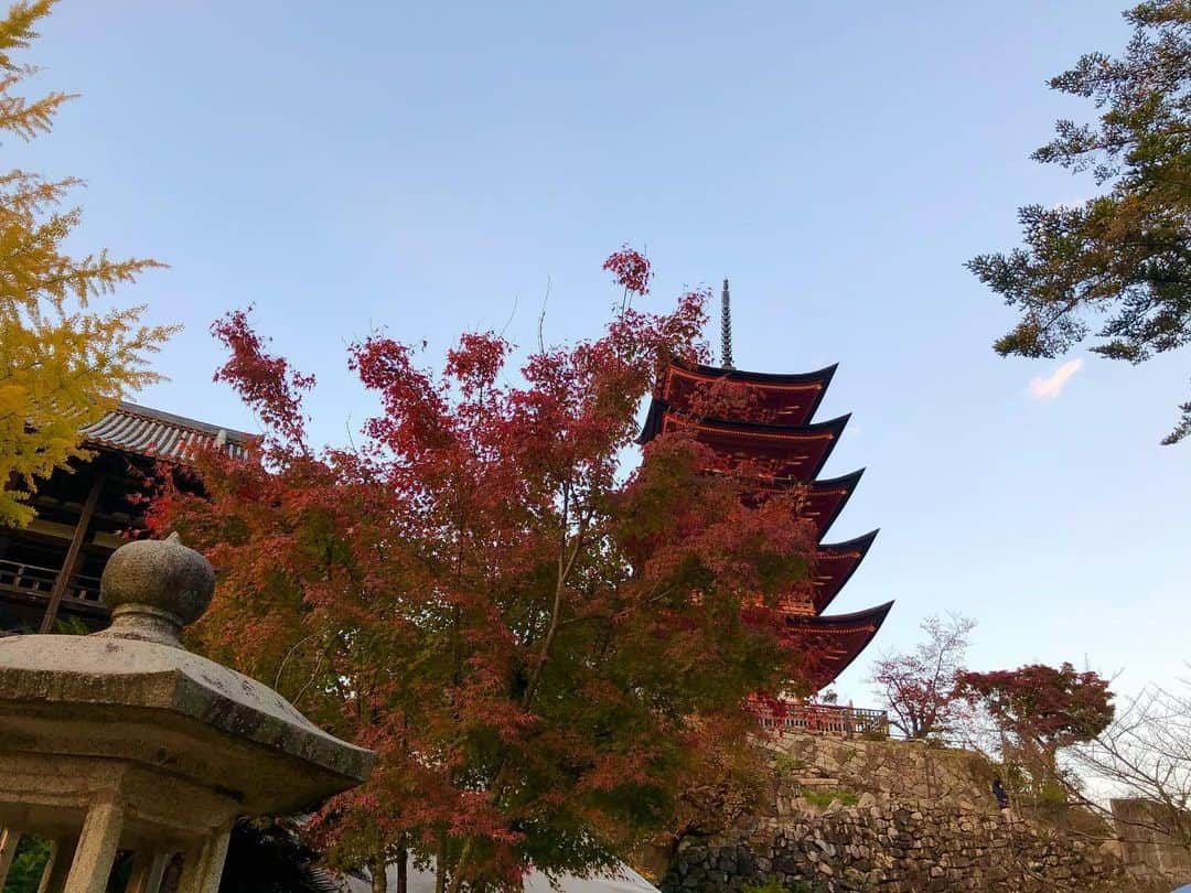 浦まゆさんのインスタグラム写真 - (浦まゆInstagram)「日本人でよかったと思える景色だらけの神秘的な島だった。修理中の鳥居もまた粋です⛩」12月5日 0時21分 - uramayu0908