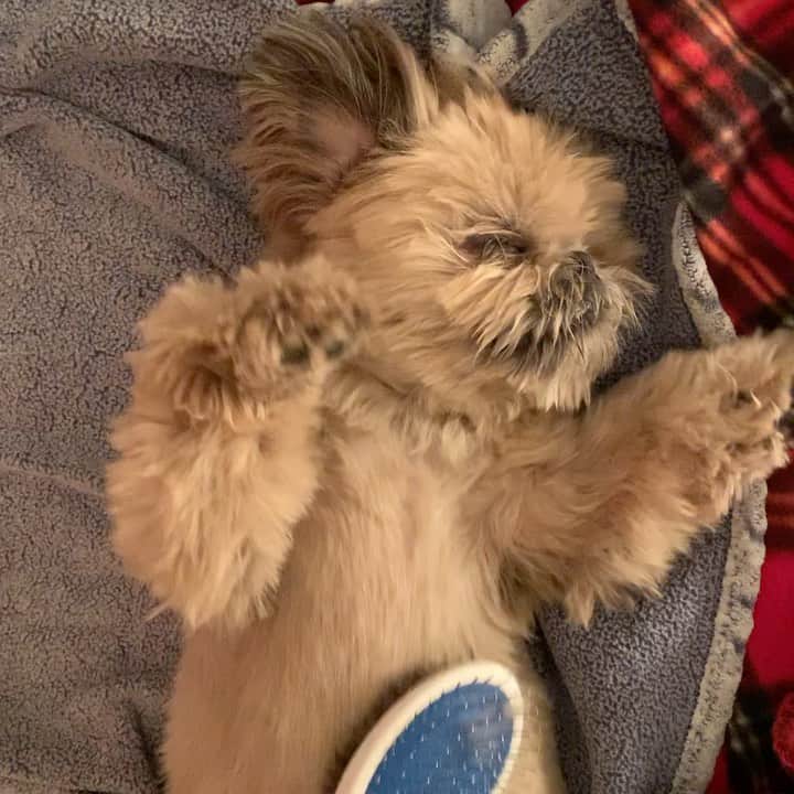 のインスタグラム：「#fridaymomentofzen」