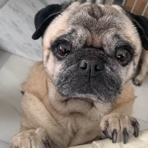 Nikitaのインスタグラム：「Nikita   (L)」