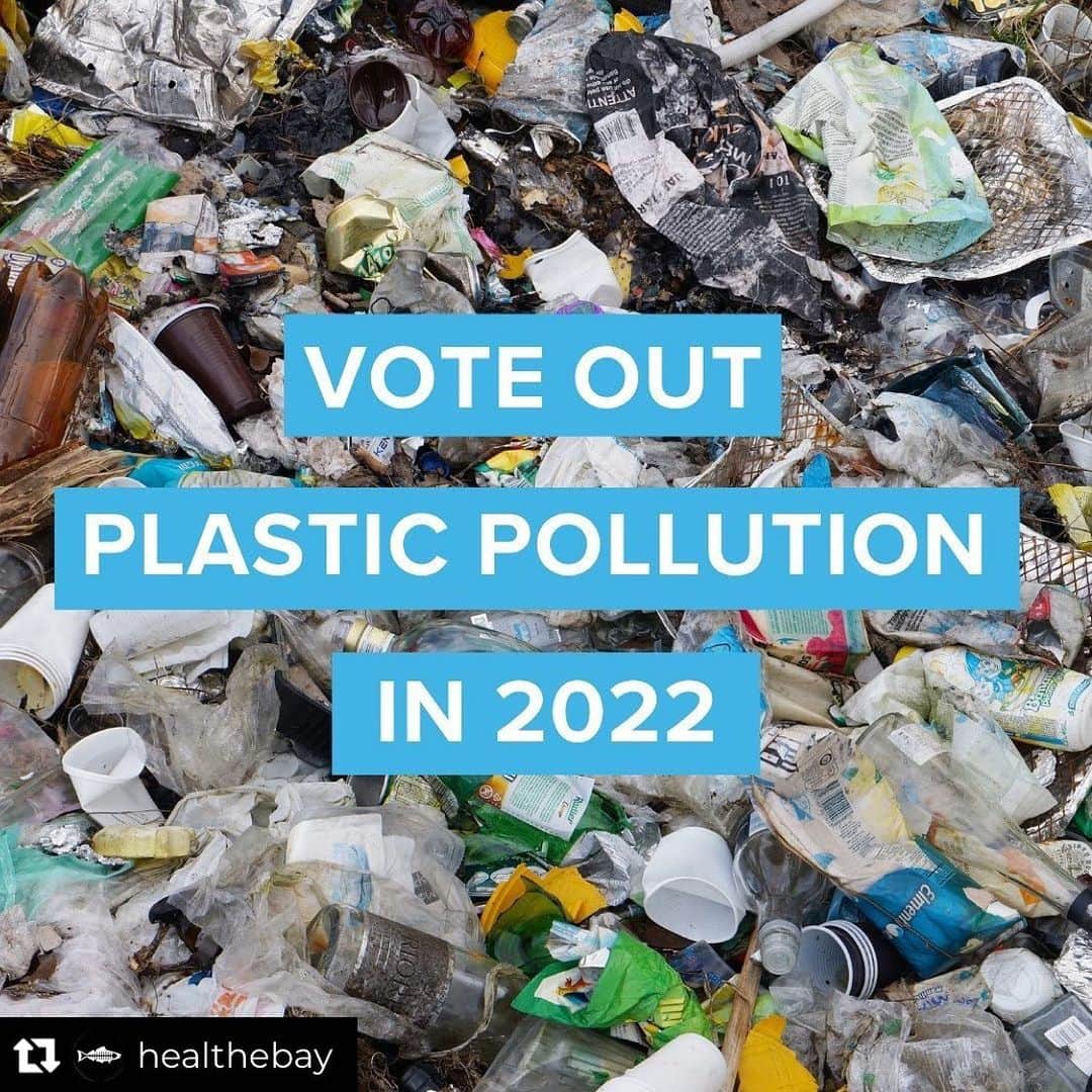 シャロン・ローレンスさんのインスタグラム写真 - (シャロン・ローレンスInstagram)「Repost from @healthebay • Have post-election fatigue? Well... looking ahead to 2022, an important #PlasticPollution initiative is on the ballot in California.⁣ ⁣ If voters pass it, the Plastics Free California initiative will:⁣ ⁣ -Reduce the amount of single-use plastic sold in CA by 25% by 2030, and ensure the remaining 75% is truly recyclable, compostable or reusable by 2030.⁣ ⁣ -Hold Big Plastic financially responsible for their pollution by creating a “plastics tax", a fee on plastic producers that will help fund the state’s recycling and composting infrastructure, and restore environments impacted by plastic pollution.⁣ ⁣ -Phase out the use of Expanded Polystyrene (aka Styrofoam) takeout containers in favor of more sustainable alternatives.⁣ ⁣ We have a long, hard fight ahead of us to get the word out and combat misinformation from the plastics, oil, and gas industries. For now, a big wave of thanks to the 870,000 Californians who took action this summer to put plastic on the 2022 ballot!」12月5日 0時53分 - sharonelawrence