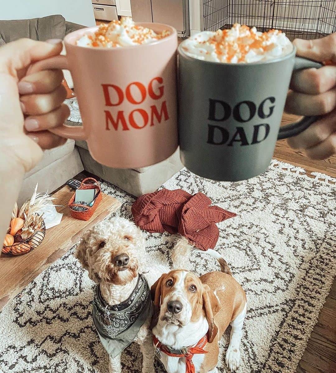 Target Styleのインスタグラム：「Pup parents, this one's for you. ❤️ 📷: @_alyssaknud」