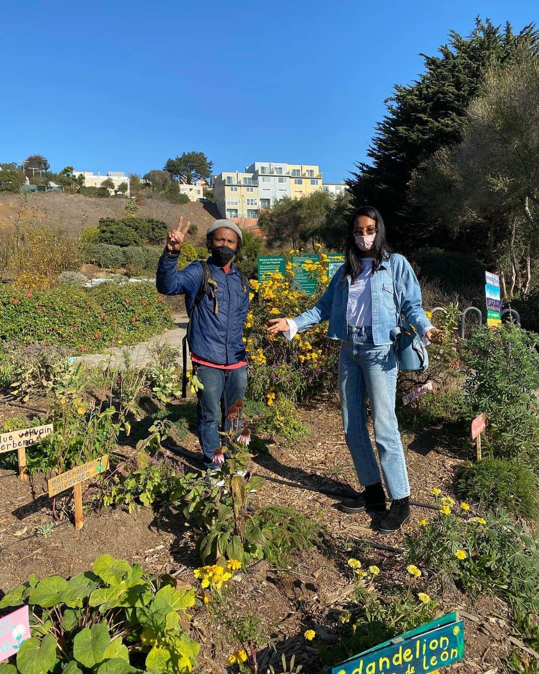 グレースマハリーのインスタグラム：「Had the pleasure of finally meeting Christopher Renfro in person ystrdy and he showed us the incredible farming work he does in SF! He helps grow all kinds of produce in a city community garden AND started growing grapes and making wine on his own!! You can see the Pinot Noir vines in a cpl photos 🙌🏾🍇 Big shout out to @thetwoeightyproject for reclaiming and normalizing farming while black!!!」