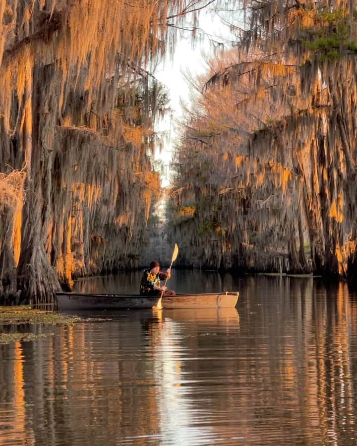 ティモシー・サイクスのインスタグラム：「Daily reminder how magical our world is and how we MUST do a better job protecting our environment and wildlife before it’s too late because if 2020 has taught us anything it’s that we MUST make this a planet we can be proud of for humans and animals alike. All living creatures are connected so how we treat each other, and our planet, matters. Please like this video, share it with your followers and leave a comment if you promise to do what you can to help make our planet great again in the future as big changes have small beginnings and NOW is the time for each of us to step up and reverse too many trends that are currently heading in the wrong direction that will result in the extinction of many species over time…including our own if we’re not careful! #protectourplanet #saveourplanet #animalsdeservebetter #jewtathunberg」