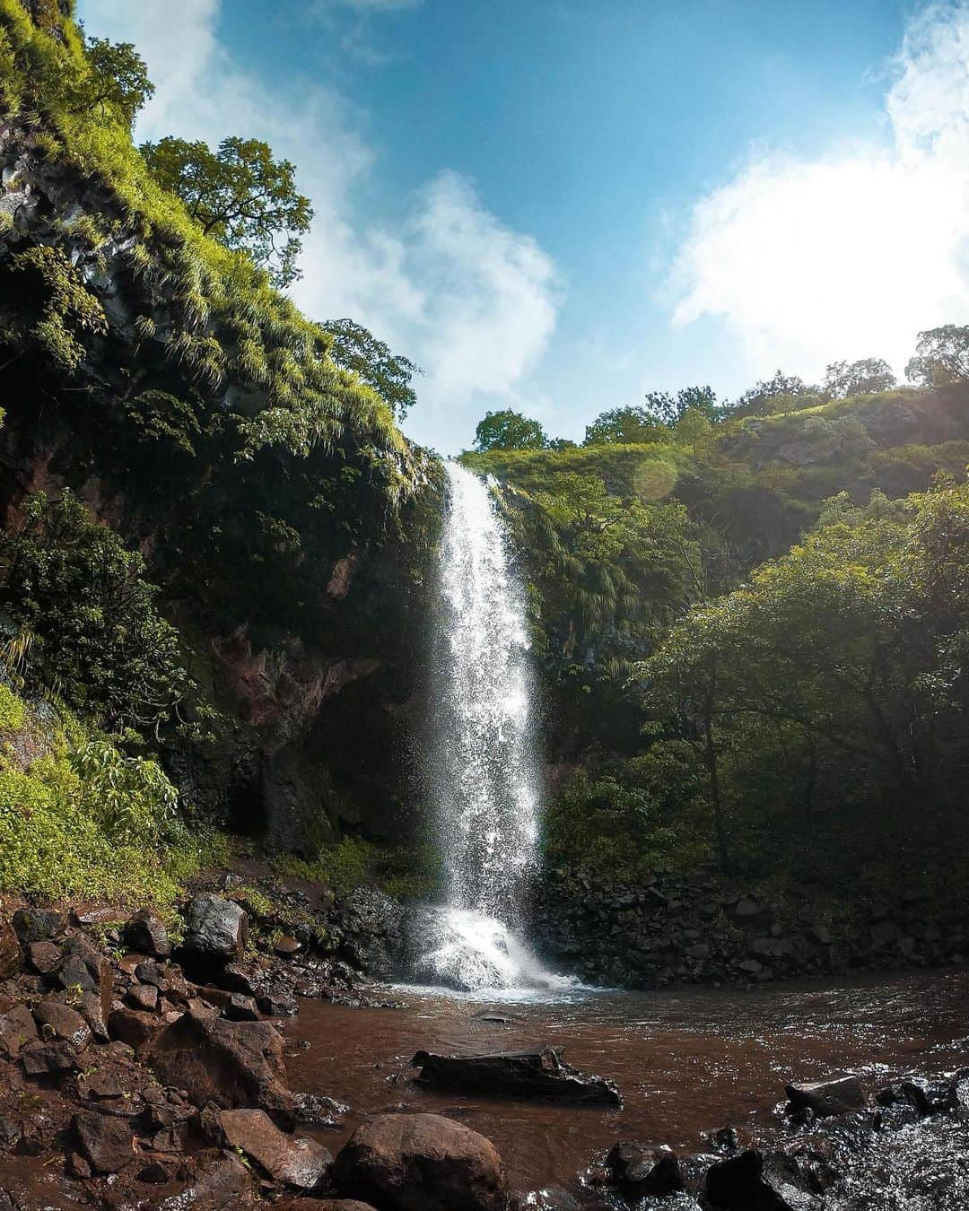 goproさんのインスタグラム写真 - (goproInstagram)「Photo of the Day: Off to the oasis 🌴 @bababhatkanti ⠀⠀⠀⠀⠀⠀⠀⠀⠀ @GoProIndia #GoProIndia #GoPro #Waterfall #Jungle」12月5日 2時09分 - gopro