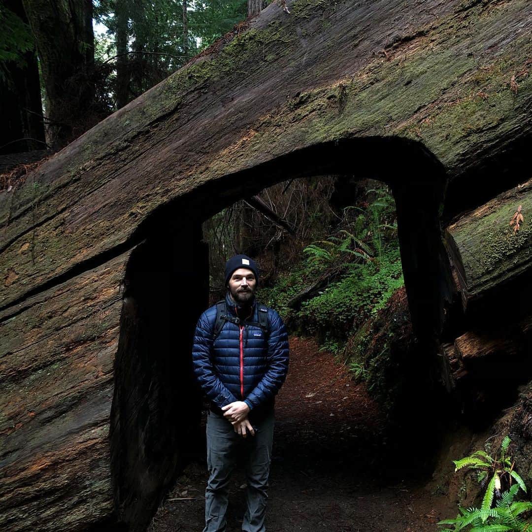 イアン・ハーディンクのインスタグラム：「Man oh man NorCal. You’re just the prettiest.」
