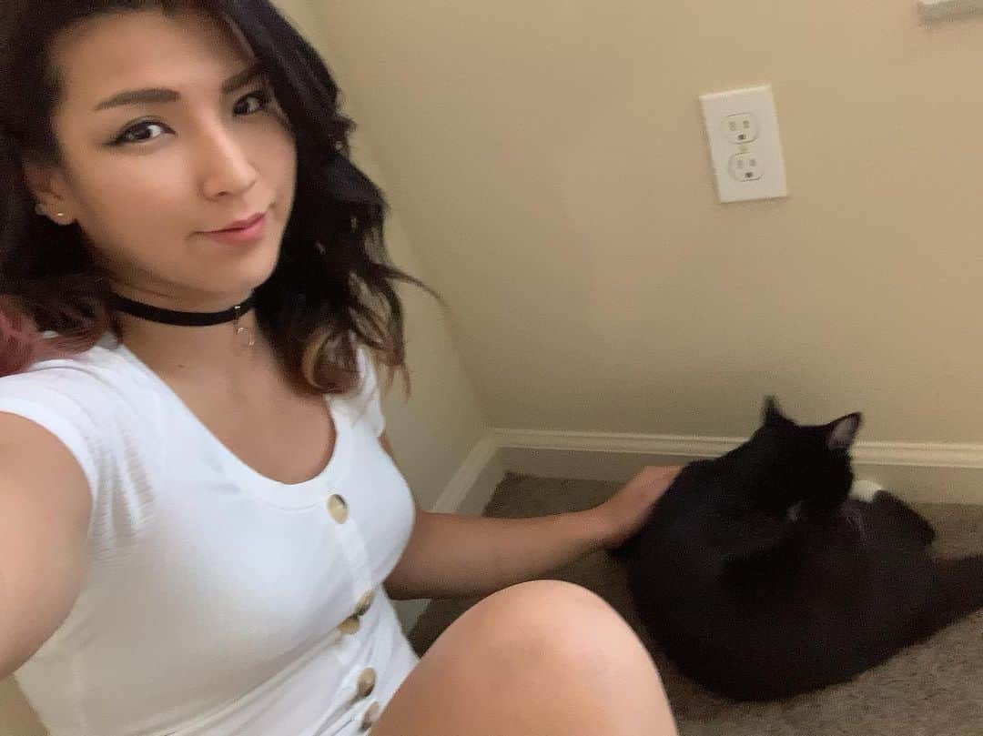 のインスタグラム：「RUTA made her debut as an actor!! (Please check the new episode of NEO IZANAGI on SHIDAtube from profile)  #cat #lifewithcats #SHIDAtube #actor #shortmovie #hikarushida」