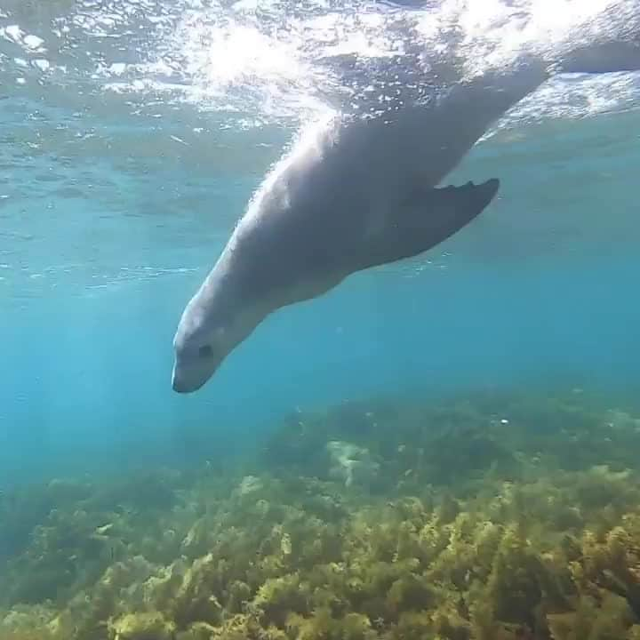 Australiaのインスタグラム