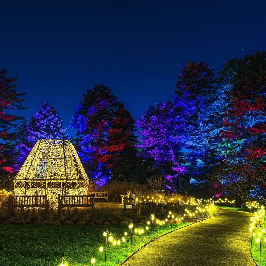ニューヨーク植物園のインスタグラム：「NYBG GLOW may be sold out this Saturday, but there are many upcoming opportunities to experience our all-new outdoor evenings at the Garden, including a new date added on December 11. 💫 . These nights of brilliant color and light illuminate our landmark landscape, including the Enid A. Haupt Conservatory and even the Home Gardening Center, and continue on select dates throughout December and into January. Hit the link in our bio to learn more about these after-dark events that bring, music, dance, and outdoor fun to the Garden this holiday season—and get your tickets while they last. . #NYBGglow #AllInNYC」