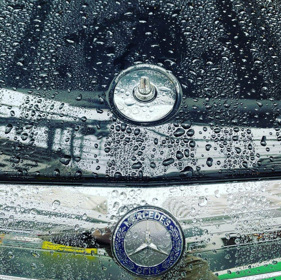 三吉ツカサのインスタグラム：「久しぶりにやられたぜ。 #5年ぶり5度目 #ボンネットマスコット」