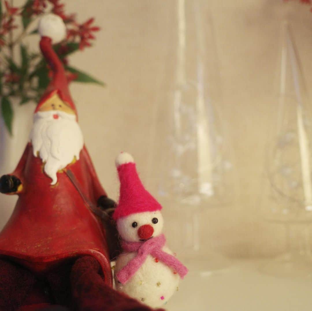 高垣麗子さんのインスタグラム写真 - (高垣麗子Instagram)「・ ・ ・  我が家では、12月になると毎年必ずクリスマスブッシュ(New South Wales Christmas Bush)を飾ります  ・ ・ #ChristmasBush #NewSouthWalesChristmasBush」12月5日 14時46分 - reikotakagaki