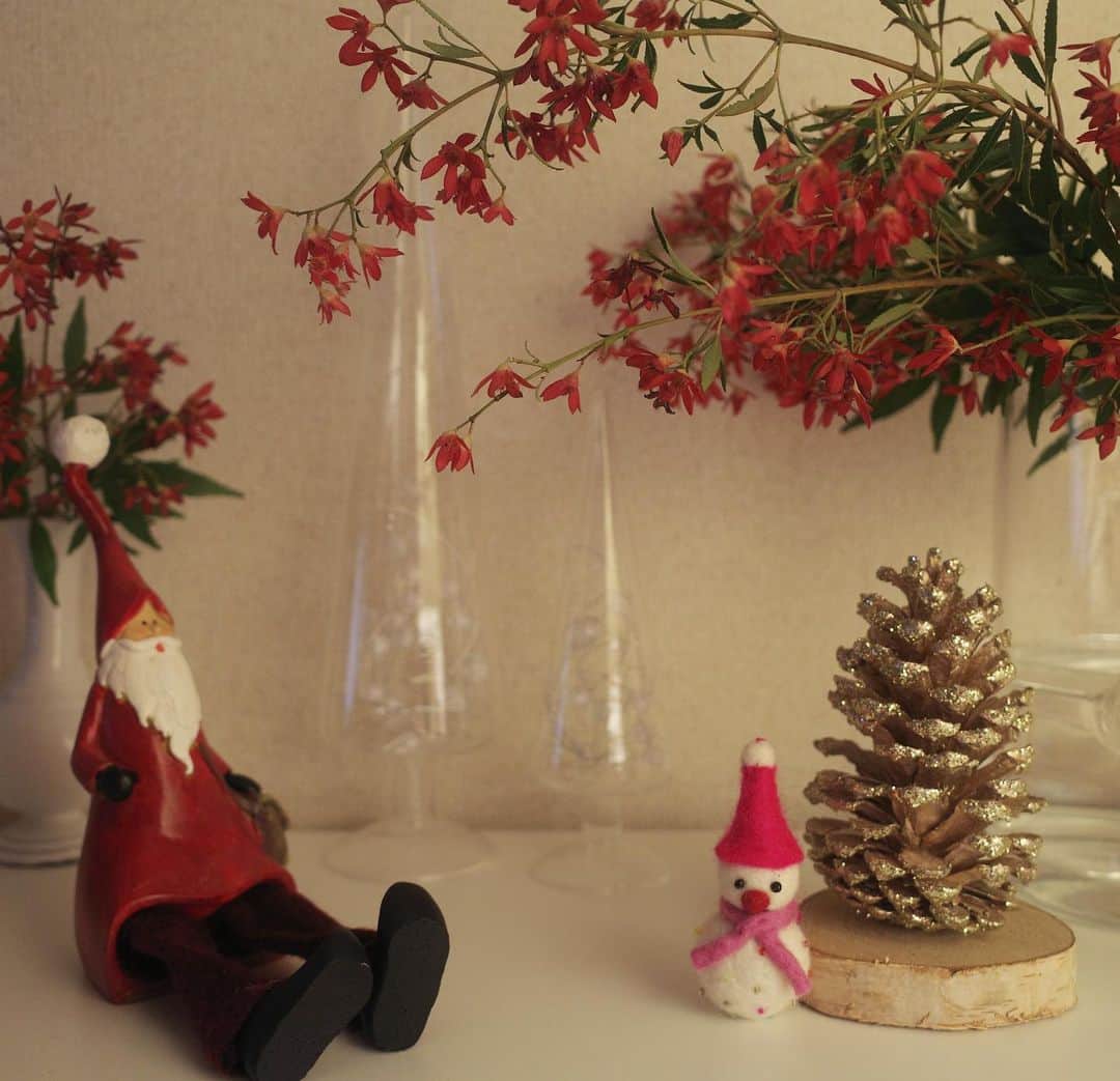 高垣麗子さんのインスタグラム写真 - (高垣麗子Instagram)「・ ・ ・  我が家では、12月になると毎年必ずクリスマスブッシュ(New South Wales Christmas Bush)を飾ります  ・ ・ #ChristmasBush #NewSouthWalesChristmasBush」12月5日 14時46分 - reikotakagaki