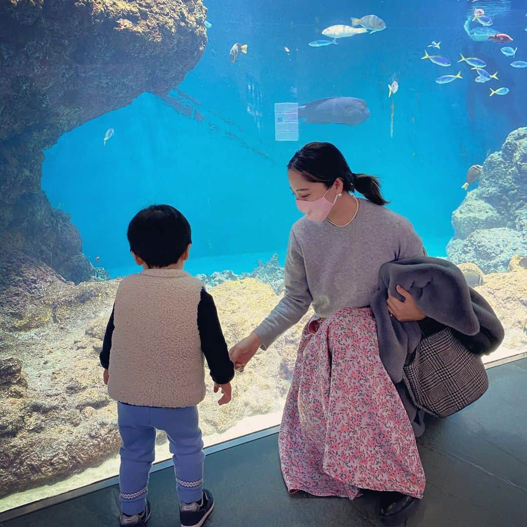 小川ひとみさんのインスタグラム写真 - (小川ひとみInstagram)「今日はあいにくの雨でしたが、 朝から葛西臨海水族館へ🐠 立派な黒マグロの水槽があり 見入ってしまいました✨ 息子はワニやシャチが 見たかったようで、 いないねぇ〜と首をかしげていました🥸 さて、週末は息子の体力についていくのに、 一日が二日分のように感じますが😬 午後も楽しみたいと思います💓 #葛西臨海水族園 #familyday #mamalife」12月5日 15時03分 - hitomy220