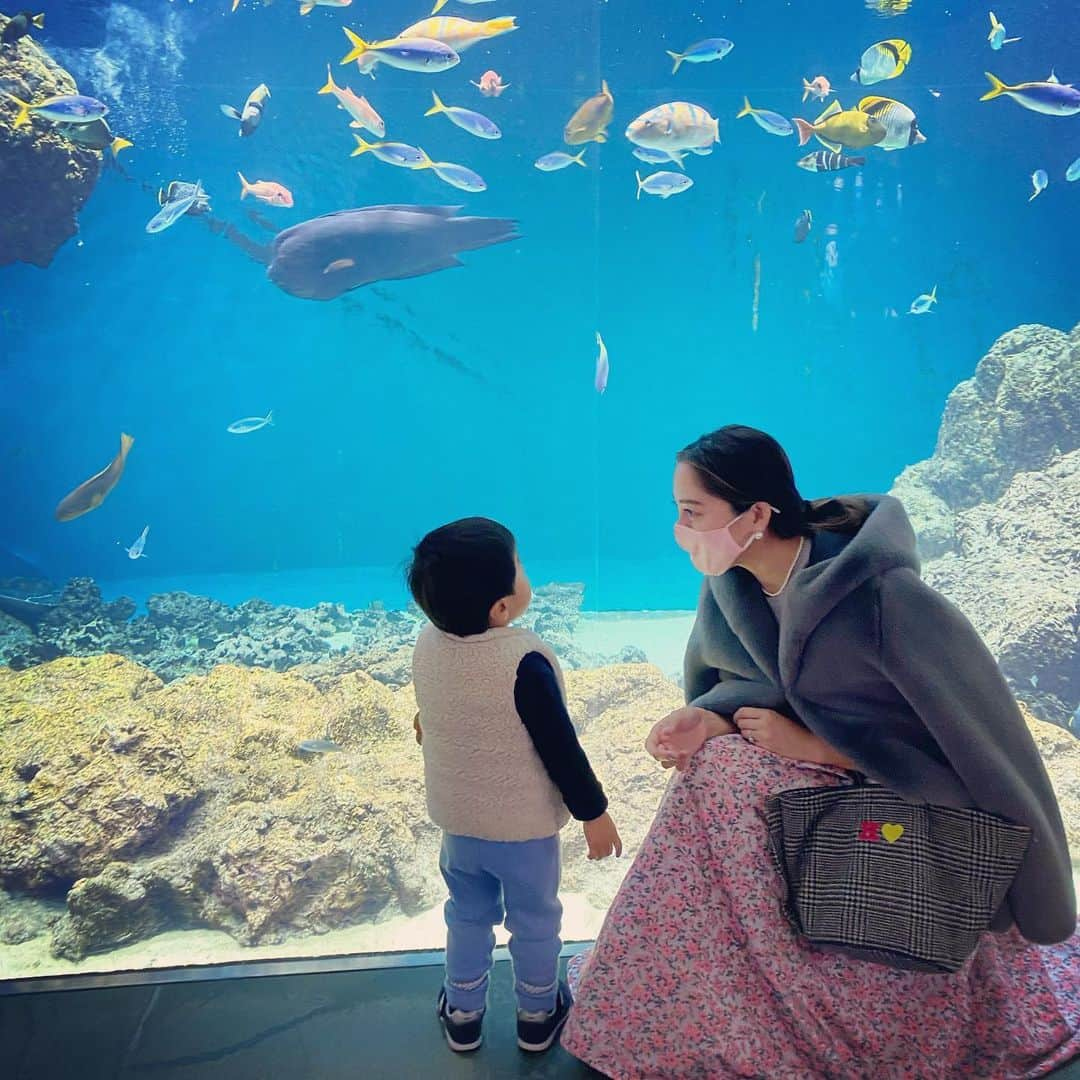 小川ひとみさんのインスタグラム写真 - (小川ひとみInstagram)「今日はあいにくの雨でしたが、 朝から葛西臨海水族館へ🐠 立派な黒マグロの水槽があり 見入ってしまいました✨ 息子はワニやシャチが 見たかったようで、 いないねぇ〜と首をかしげていました🥸 さて、週末は息子の体力についていくのに、 一日が二日分のように感じますが😬 午後も楽しみたいと思います💓 #葛西臨海水族園 #familyday #mamalife」12月5日 15時03分 - hitomy220