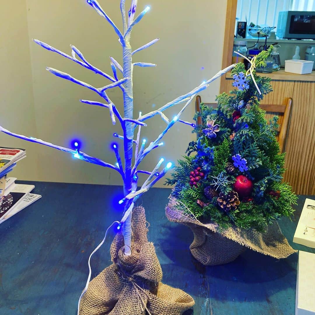 井上荒野のインスタグラム：「今年は長野での初めてのクリスマス。たぶんそのせいで2人とも相手に内緒でツリーを注文していて、O.ヘンリーの短編みたいなことになってしまった。(ちょっと違う)」