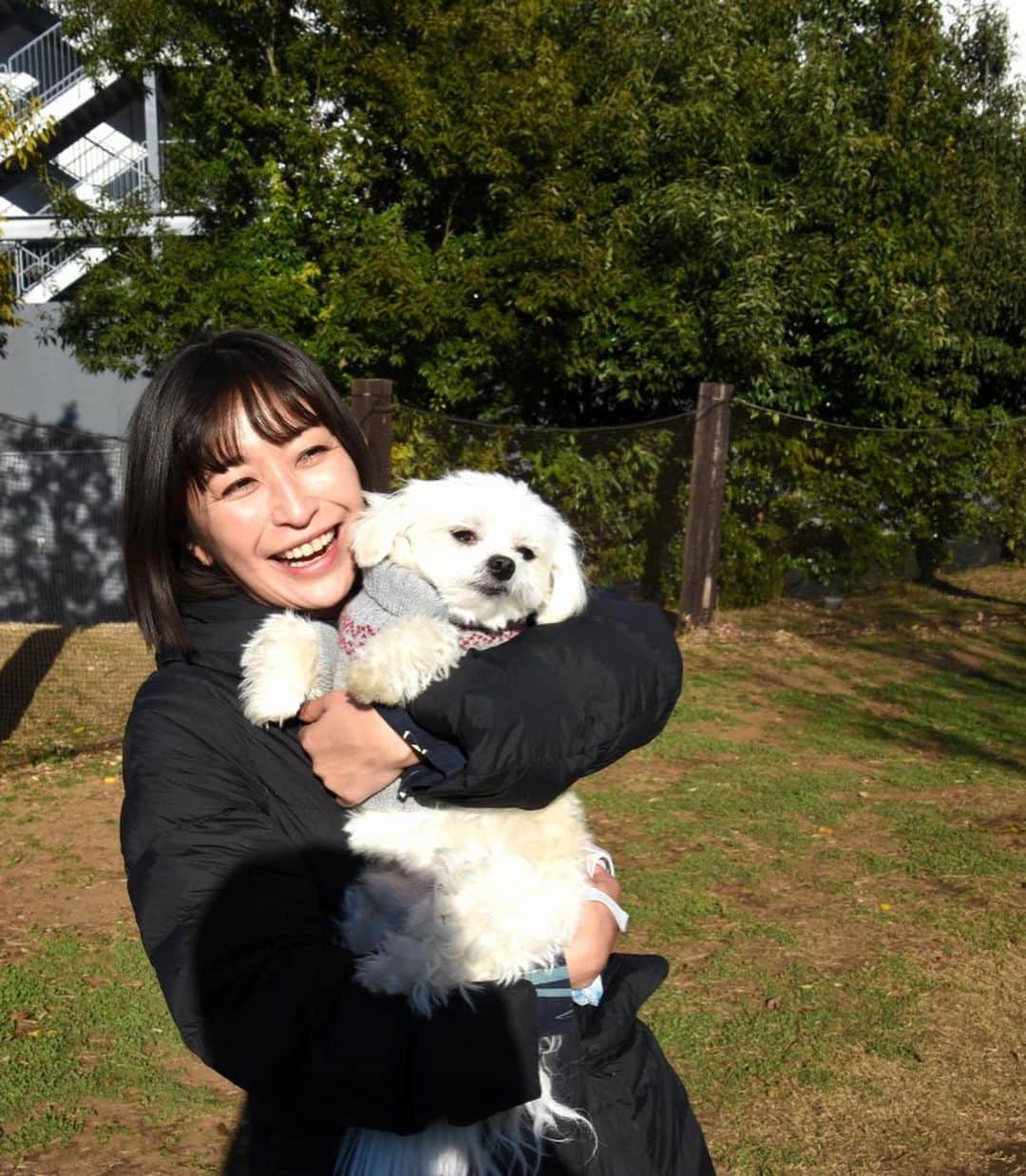 小野真弓さんのインスタグラム写真 - (小野真弓Instagram)「おはようございます^ ^ 仕事で久しぶりに茨城へ。 落ち葉の絨毯で道が黄金色🍂✨筑波山も間近で見られて、気持ちの良い一日でした( ´∀｀)⛰ #茨城県#つくば市#撮影#白衣#ラフラボ#お知らせはまた #紅葉絨毯#まちわわせ#ペニーレインつくば#ドッグカフェ #ドッグラン#さつまいもマフィン#ドッグメニュー#パンが美味しい#カフェメニューも美味しい#静電気#千葉暮らし#犬のいる暮らし#犬は孫#実家エリア 仕事終わりで待ちわわせ。🙋‍♀️🐶🐶 ハナハルは、じいちゃん‍ばあちゃんに連れてきてもらったよー🚗美味しいランチとドッグラン☺️ 犬たち、うはうは(๑>◡<๑)💕 空気がカラカラの季節ですー🍂 ハルくん静電気バチバチ⚡️🐶かーさんしわしわ⚡️ 化粧水パックいのちです。。👹❄️ 良い週末を🍀😷」12月5日 6時46分 - hanaharuaroi