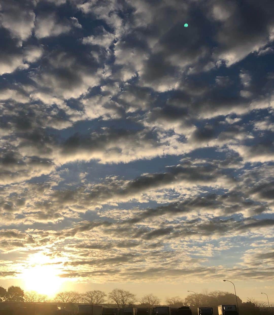 小野真弓さんのインスタグラム写真 - (小野真弓Instagram)「おはようございます^ ^ 仕事で久しぶりに茨城へ。 落ち葉の絨毯で道が黄金色🍂✨筑波山も間近で見られて、気持ちの良い一日でした( ´∀｀)⛰ #茨城県#つくば市#撮影#白衣#ラフラボ#お知らせはまた #紅葉絨毯#まちわわせ#ペニーレインつくば#ドッグカフェ #ドッグラン#さつまいもマフィン#ドッグメニュー#パンが美味しい#カフェメニューも美味しい#静電気#千葉暮らし#犬のいる暮らし#犬は孫#実家エリア 仕事終わりで待ちわわせ。🙋‍♀️🐶🐶 ハナハルは、じいちゃん‍ばあちゃんに連れてきてもらったよー🚗美味しいランチとドッグラン☺️ 犬たち、うはうは(๑>◡<๑)💕 空気がカラカラの季節ですー🍂 ハルくん静電気バチバチ⚡️🐶かーさんしわしわ⚡️ 化粧水パックいのちです。。👹❄️ 良い週末を🍀😷」12月5日 6時46分 - hanaharuaroi