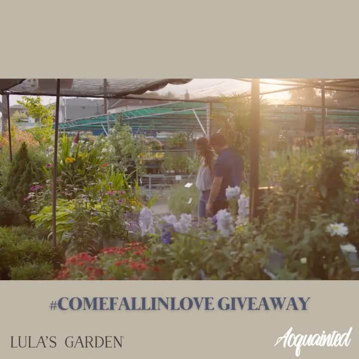 ジャコモ・ジャンニオッティのインスタグラム：「🌱#ComeFallinLove Giveaway⁠🌱⁠ ⁠ @acquaintedfilm is partnering with @lulas.garden⁠ to give away 6 Acquainted Gardens complete with signed postcards from the cast of Acquainted! 3 lucky winners will receive their own garden and also have one sent to a loved one of their choice.⁠ ⁠⠀⁠ Head over to @acquaintedfilm to enter. Deadline: Friday, 12/11 at 12am PST⁠⠀⁠ ⁠⠀⁠ Lula's Garden is a succulent gifting company where each garden is pre-potted in an eco-friendly gift box designed to serve as a planter. The garden arrives wrapped in a sleeve with your preferred occasion.⁠ The Acquainted Garden is available for purchase at https://www.lulasgarden.com/products/acquainted-garden and a few lucky customers will also receive a surprise from the cast! ⁠⁠⠀⁠ Disclaimer: This giveaway is not affiliated with Instagram.   PLEASE @ the @acquaintedfilm instagram for all questions and concerns. Have you preorder “Acquainted” yet America 🇺🇸? Cmon what are you waiting for, available everywhere you rent movies December 8th.」