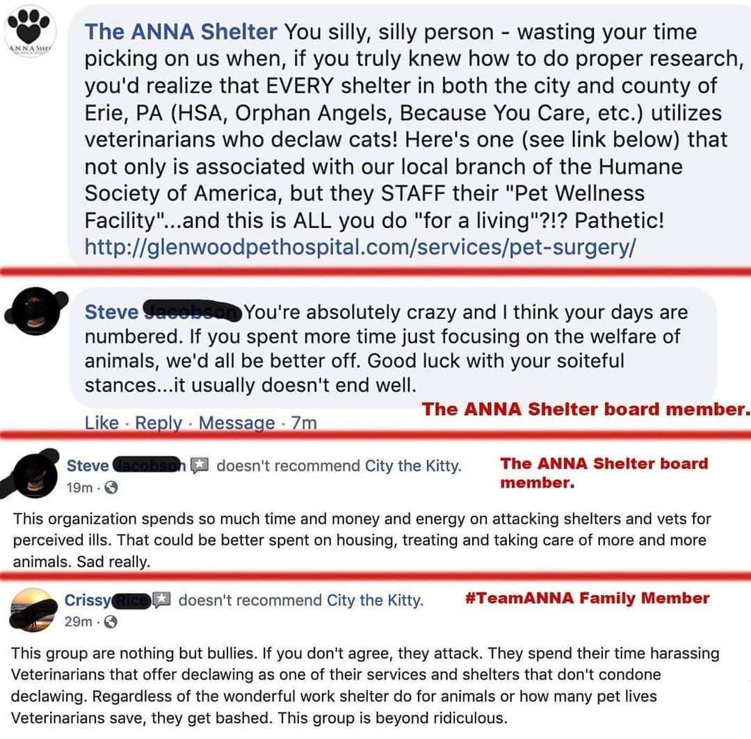 City the Kittyさんのインスタグラム写真 - (City the KittyInstagram)「Great news everyone! 😺 Remember these mean comments that @theannashelter and their people wrote to us because we were just trying to inspire this animal shelter to stop declawing in their WELLNESS Centers?😿😿 . Well in just a few minutes, at 5pm, Erie, PA time,  @jet24fox66 is doing a story about our billboard campaign and the ANNA Shelter at 5pm on JET tv and then later tonight on FOX.   🐾🐾🐾🐾 Thank you to ALL of you who donated to make this Erie billboard campaign come to life! ❤️ So far we have had incredible awareness to help protect innocent cats from this barbaric cruelty with the GoErie newspaper story and now a story on two tv channels in Erie! Your support IS making a huge difference for cats!  . Please take 60 seconds and sign our petition to the ANNA Shelter and Erie declawing vets that’s on our Instagram bio link. ❤️🐾 . Also, on another subject, we really need your help to protect our ability to shine light on the awful truth about how the veterinary organizations address declawing. The American Animal Hospital Association (AAHA) sicced their lawyers on us after we did a story about their 2020 AAHA animal hospital of the year,  in Lancaster, PA and how they declaw lots and lots of cats.  The story is on citythekitty.org. 🐾 . AAHA forced us to take down a lot of their declawing info from our stories. Here's our legal defense fundraiser. If less than 1% of our followers donated $1 to this, we would meet our goal.  Please don't let cruelty win and we MUST be the voice for all the innocent cats.  https://www.facebook.com/donate/671686130209508/ or you can go to citythekitty.org and make a donation there and put City the Kitty vs AAHA in the comment section. ❤️🐾🐾🐾🐾🐈🐈🐈🐈 #nonprofit  Always take the high road, be polite, and educate.  🐈  #eriepa #TeamANNA #TheANNAshelter #veterinarians #goodcause #declawing #animalcruelty #PA #nonprofit #voiceforthevoiceless #cats #cat #catlovers #pleasehelp #aahaaccredited #AAHA #1stAmendment #freespeech #fairuse」12月5日 7時09分 - citythekitty