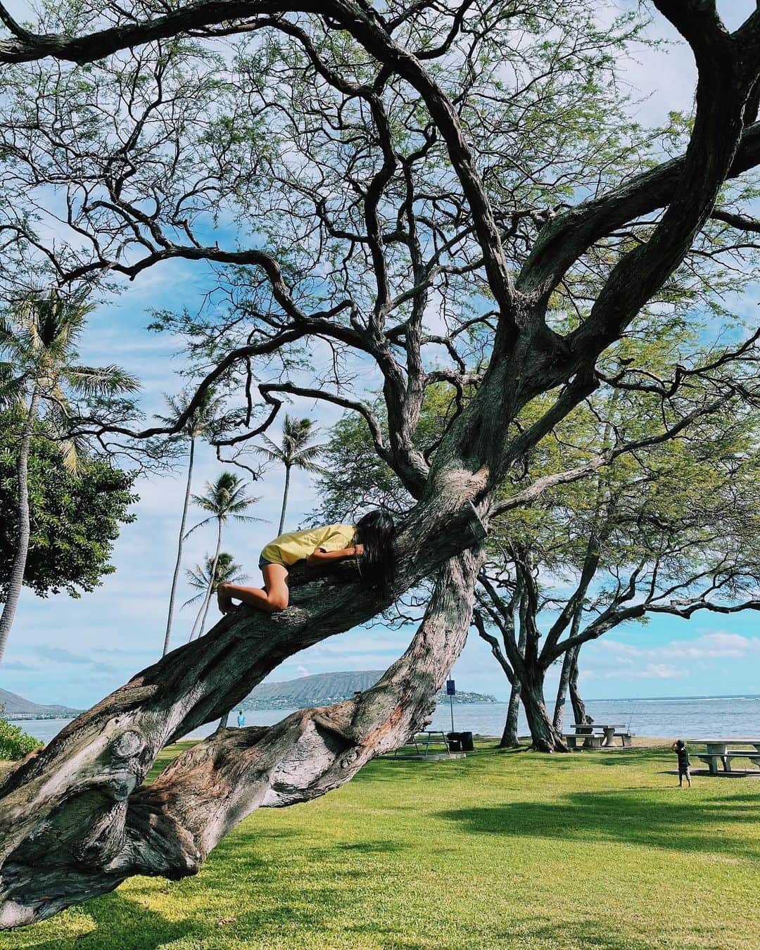 吉川ひなのさんのインスタグラム写真 - (吉川ひなのInstagram)「休憩する場所は相変わらず木の上🌳🐒  #娘HawaiiLife」12月5日 7時04分 - hinanoyoshikawa