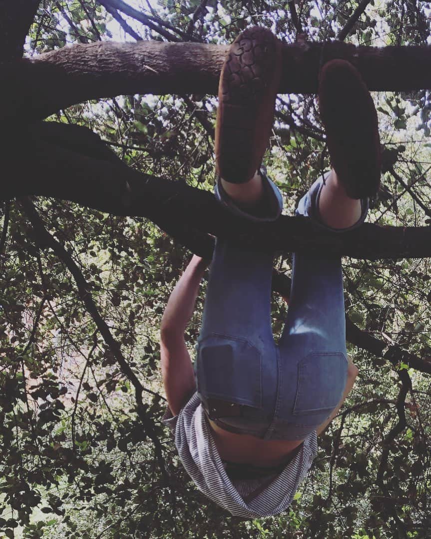 カテリーナ・スコーソンのインスタグラム：「What do you do these days to unwind after a long day of quarantine? #hangingout #hiddenlifeoftrees 🌳」