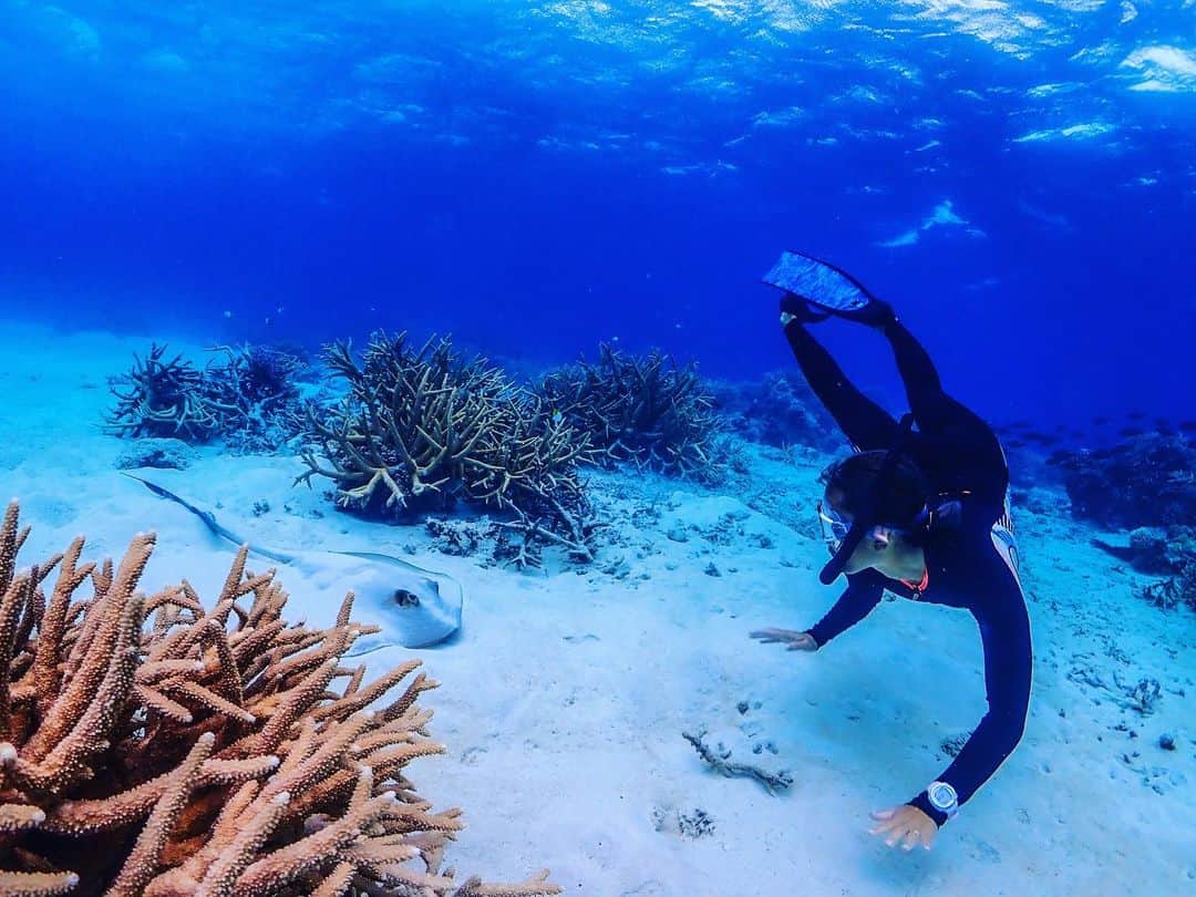 のインスタグラム：「hello🐬🐋🦈  I miss..............🐠🐠🐠🌊🌊  #地球#珊瑚#呼吸#自然#海#石垣#石垣島#八重山諸島 #素潜り#スキンダイビング#ishigakiisland #arth #breaking #beautifulview #beautifulsea#roxyjapan #roxylife  #mother #okinawajapan#ishigaki#beautifuljapan」