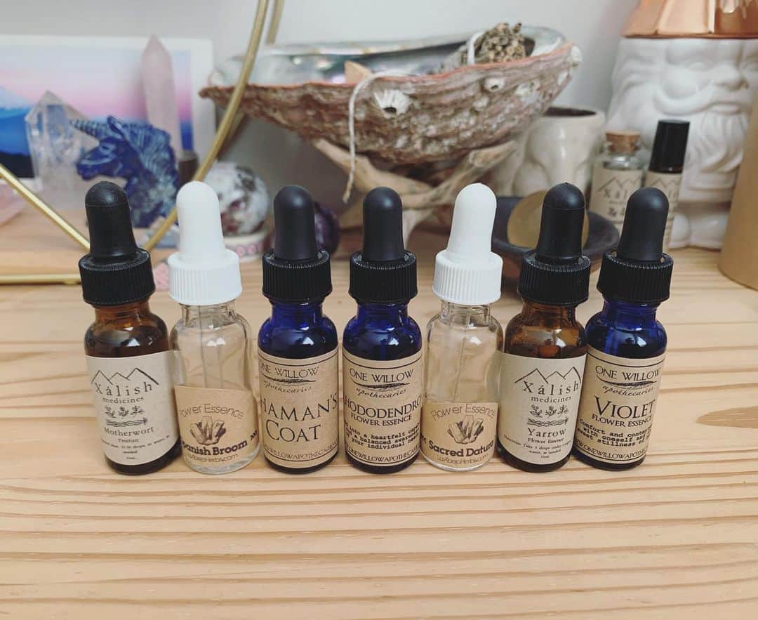 OLIVIAのインスタグラム：「Flower essences help me in times when I need a little extra love. Rhododendron, violet and datura have been my recent 2020 rotation. I put 4 drops under my tongue, love adding them to my magical adaptogenic drinks or to my baths. Are their ones that you connect with? I really love- @asiasuler @sophiarose.world @among_the_wildflowerss」