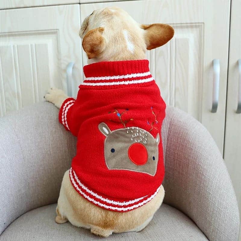 French Bulldogさんのインスタグラム写真 - (French BulldogInstagram)「Knitted Winter Holiday Jumpers 🐑♥️🦌🎅 Exclusive in @frenchie.world shop 🛍🛍🛍 👉 LINK IN BIO 🔝 . . . . . #frenchie #frenchies #französischebulldogge #frenchbulldog #frenchbulldogs #dog #dogsofinstagram #frenchieworld #bully #bulldog #bulldogfrances #フレンチブルドッグ #フレンチブルドッグ #フレブル #ワンコ #frenchiesgram #frenchbulldogsofinstagram #ilovemyfrenchie #batpig #buhi #squishyfacecrewbulldog」12月5日 8時34分 - frenchie.world