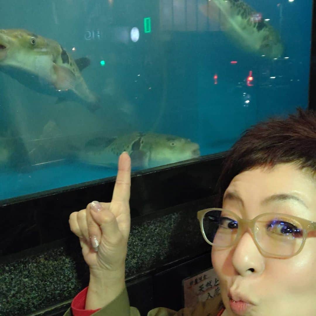 菊田あや子のインスタグラム