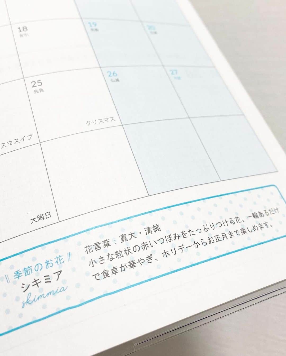 伊藤春香さんのインスタグラム写真 - (伊藤春香Instagram)「#週末野心手帳2021 の﻿ マンスリーページには﻿ 季節のお花情報が書かれています。﻿ ﻿ このコーナーはすべて﻿ 萌ちゃん @moemurakami_ が担当してくれて、﻿ お花に詳しい萌ちゃんだからこそ﻿ みんながイメージしそうなものから﻿ あえてちょっと外した提案をしてくれています。﻿ ﻿ 例えば、12月なら、クリスマスの定番の﻿ 「ヒイラギ」ではなくて「シキミア」。﻿ ﻿ 私は「シキミア」という名前を﻿ この手帳づくりをきっかけに﻿ 初めて知ったのですが、ぐぐってみたら可愛くて。﻿ ﻿ せっかくだから﻿ お花屋さんでシキミア買ってきて、﻿ 手帳と一緒に撮ろう…と思っていた矢先に﻿ 入ったカフェでシキミアに出会いました。﻿ ﻿ この手帳が、生活の中でお花を楽しむ﻿ きっかけにもなってくれると嬉しいです。﻿ ﻿ #週末野心手帳 #シキミア #週末野心手帳特装版 #週末野心手帳の使い方 #手帳時間 #お花のある暮らし  #お花のある生活 #12月のお花 #お花豆知識 #花と暮らし  #手帳の中身 #手帳術 #手帳タイム #モーニングページ #マーガレットハウエルカフェ #スキミア #季節の花」12月5日 9時09分 - ha_chu