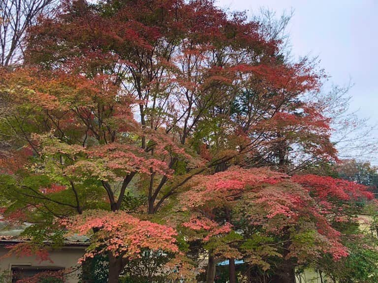 佐々木晴花のインスタグラム