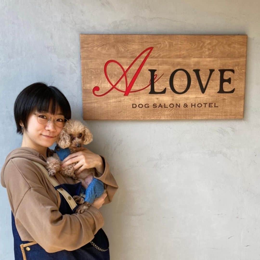 のインスタグラム：「チャンネル登録者数25万人以上の『Lovely Grooming』に愛犬くんが出演しました🐶💕 ・ 普段見られない緊張してる表情がたまらなく可愛い❤️ Dogsalon&Hotel A-Love 学芸大学店さん可愛くしていただきありがとうございました♡ ・ 繰り返し見て、いいねして、最高のコメントお願いします！！ 私は本気で繰り返し見てるよw ・ #時東ぁみ #youtube #lovelygrooming #愛犬 #dog #犬 #トイプードル #toypoodle #トリミング #シャンプー #歯磨き #爪切り #ヘアカット #dogsalon #hotel #alove #学芸大学 #撮影 #モデル #モデル犬 #緊張 #いぬすたぐらむ #犬バカ部 #幸せな仕事」