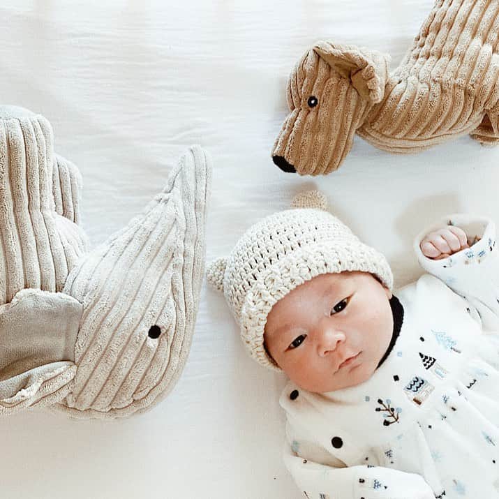 ayacasuのインスタグラム：「* * * 悠陽👶🏻のおともだち🐘🐕 * このあひる口たまらんねん。 失神しそうなくらい可愛い。(親バカ)🤣 * * * #男の子ベビー#令和2年ベビー#むすこーで#息子服#10月生まれベビー#ベビー服#ベビスタグラム#生後日#秋生まれベビー#赤ちゃんのいる暮らし#赤ちゃんのいる生活#子育てぐらむ#子育て#親バカ部#ゼクシィbaby#たまひよ#2020ベビー#ままのて#ベビフル#ベビライフ#あやかすベビー#スマイル育児#コドモノ#成長記録#育児日記#ファーストトイ#コズレ#コドモダカラ」